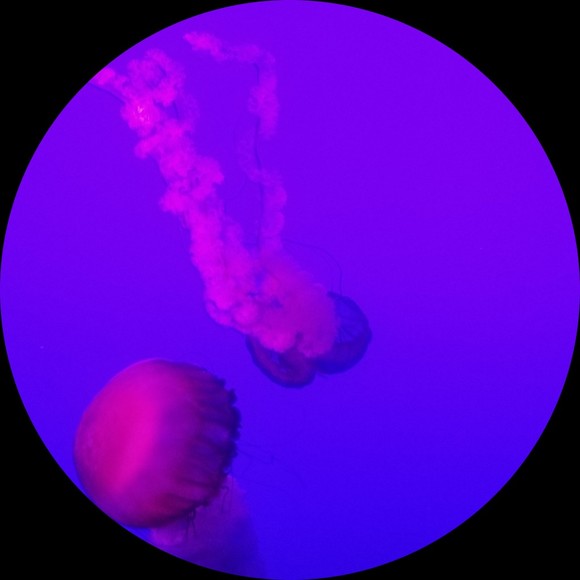 nobiie_11